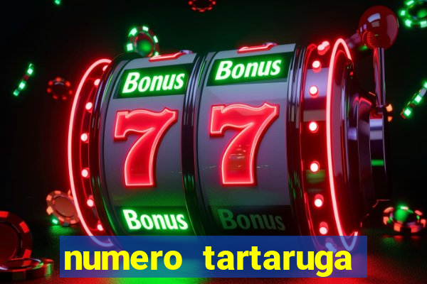 numero tartaruga jogo do bicho